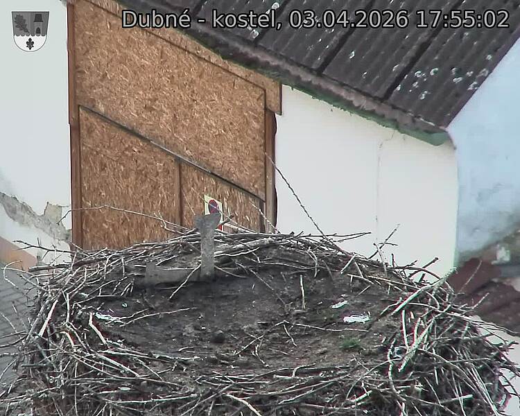 Capi_Dubne_20260403_175502.jpg (1350&nbsp;x&nbsp;1080)