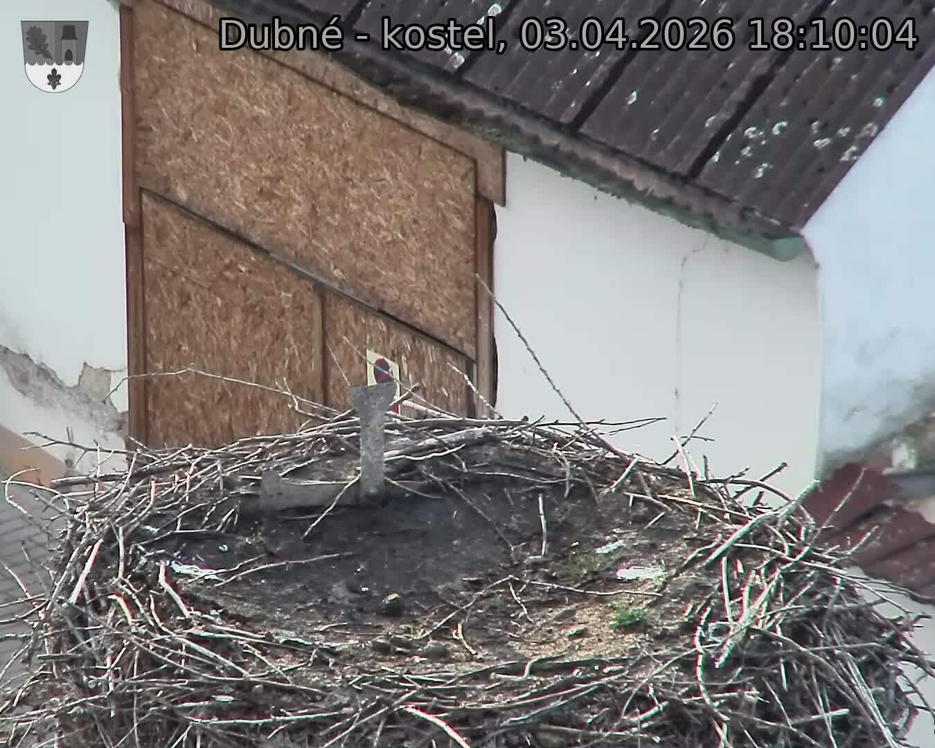 Capi_Dubne_20260403_181004.jpg (1350&nbsp;x&nbsp;1080)