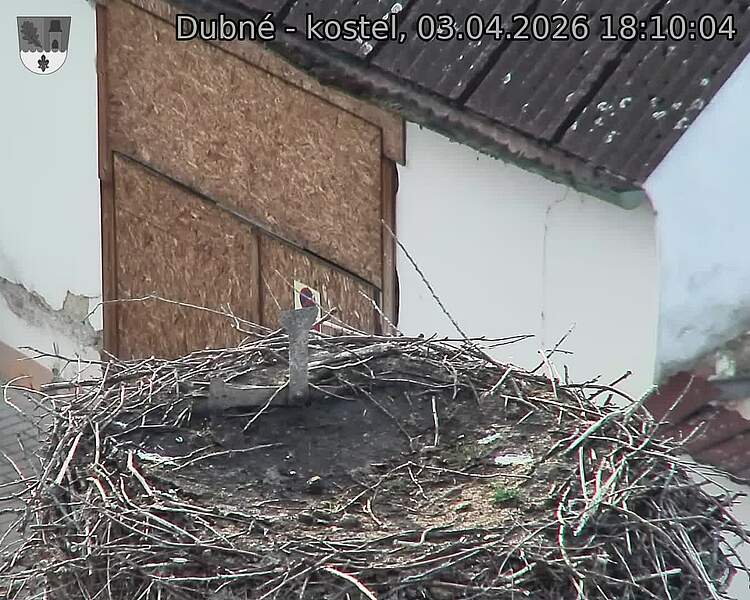 Capi_Dubne_20260403_181004.jpg (1350&nbsp;x&nbsp;1080)