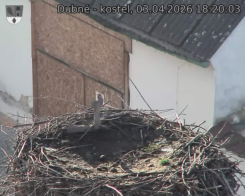 Capi_Dubne_20260403_182003.jpg (1350&nbsp;x&nbsp;1080)