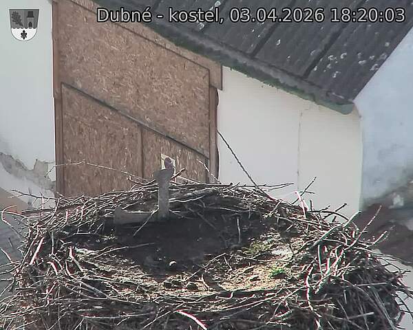 Capi_Dubne_20260403_182003.jpg (1350&nbsp;x&nbsp;1080)