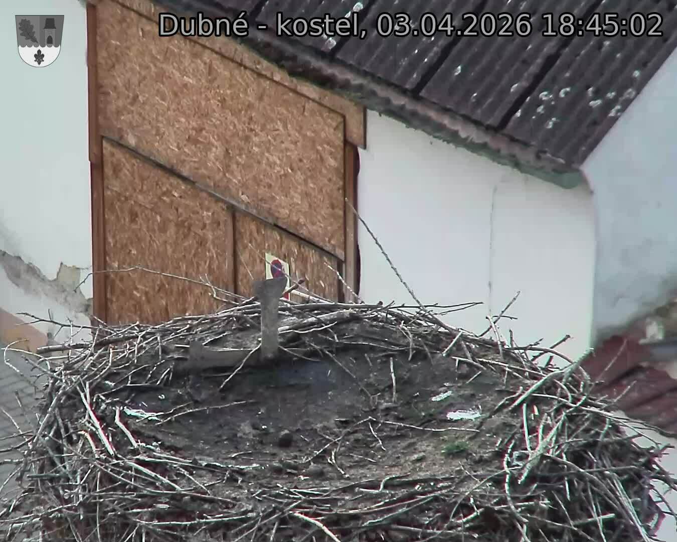 Capi_Dubne_20260403_184502.jpg (1350&nbsp;x&nbsp;1080)