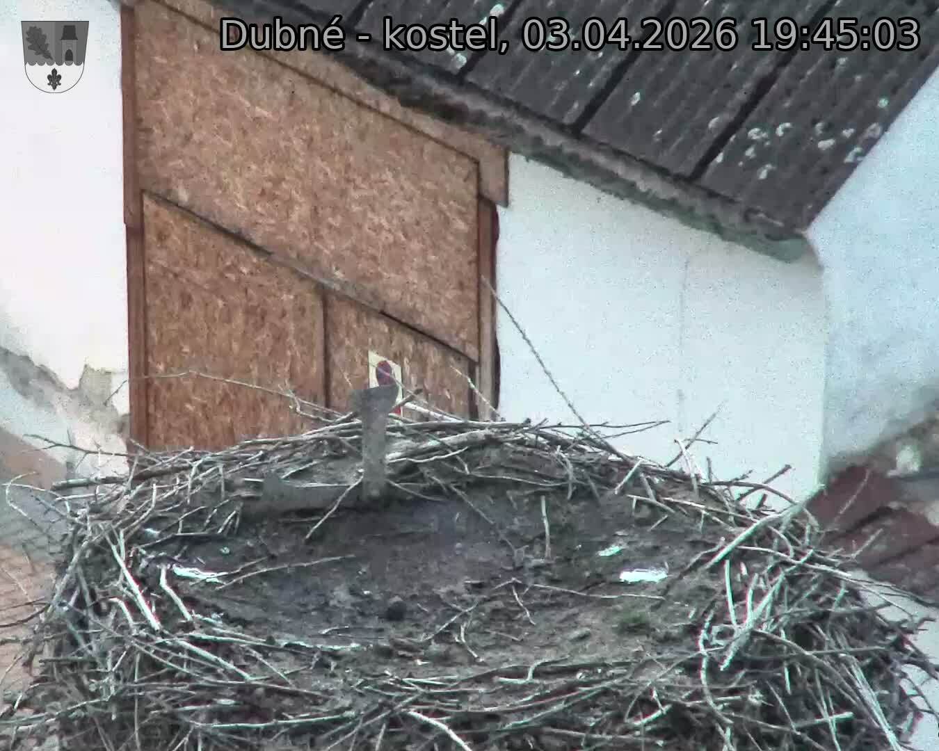 Capi_Dubne_20260403_194503.jpg (1350&nbsp;x&nbsp;1080)