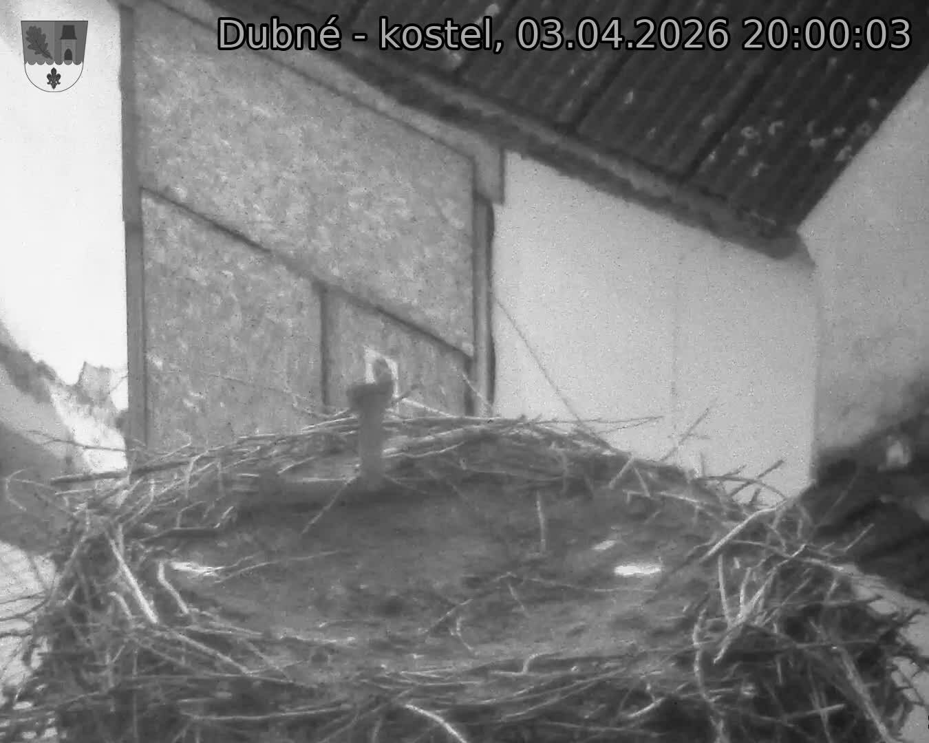 Capi_Dubne_20260403_200003.jpg (1350&nbsp;x&nbsp;1080)