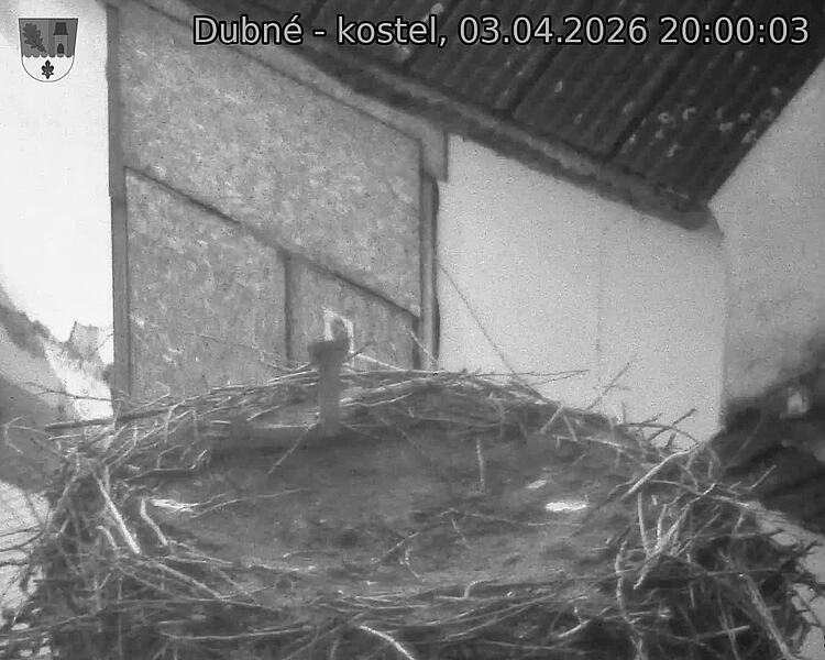Capi_Dubne_20260403_200003.jpg (1350&nbsp;x&nbsp;1080)