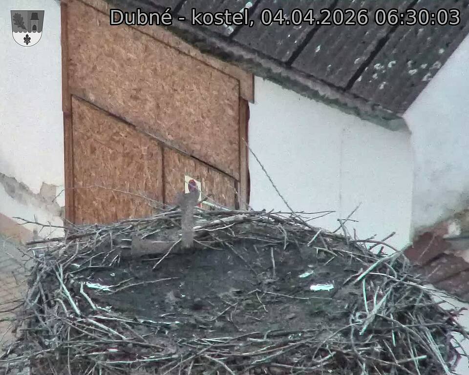 Capi_Dubne_20260404_063003.jpg (1350&nbsp;x&nbsp;1080)