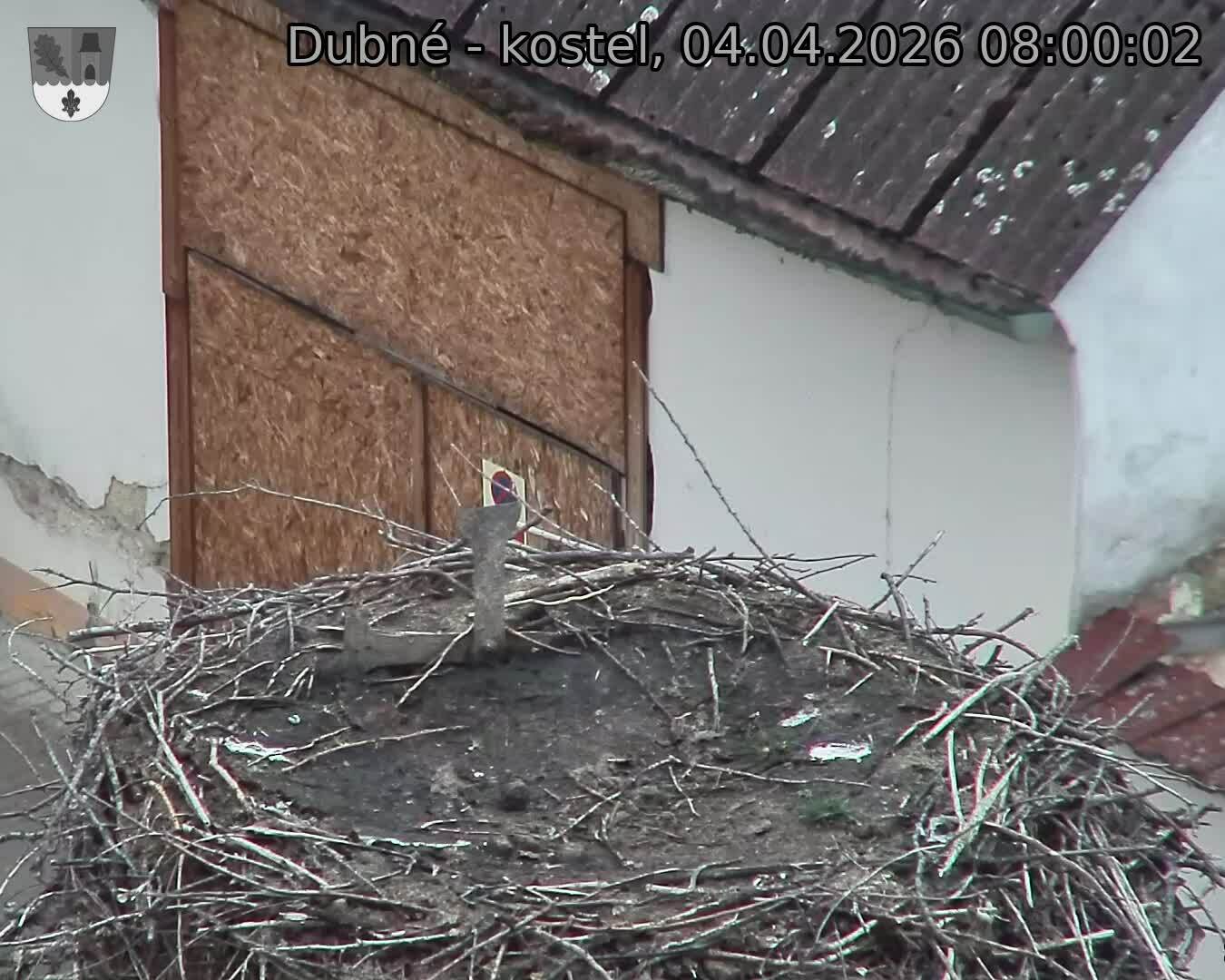 Capi_Dubne_20260404_080002.jpg (1350&nbsp;x&nbsp;1080)