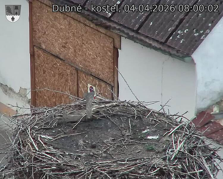 Capi_Dubne_20260404_080002.jpg (1350&nbsp;x&nbsp;1080)