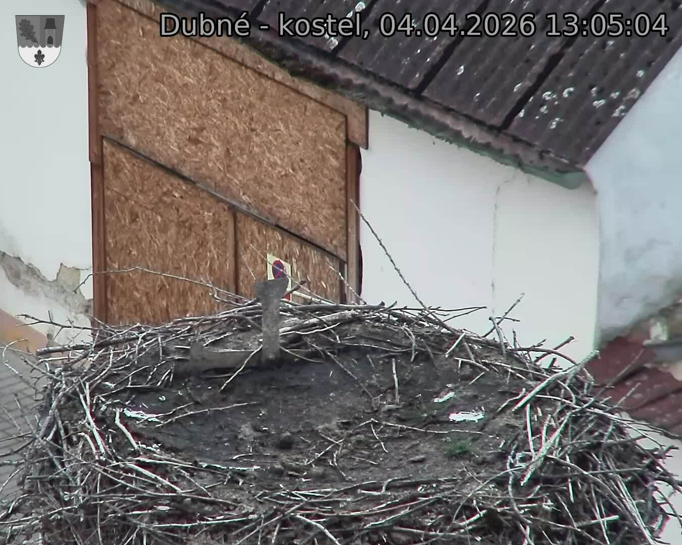 Capi_Dubne_20260404_130504.jpg (1350&nbsp;x&nbsp;1080)