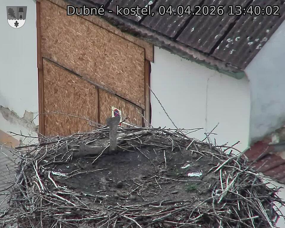 Capi_Dubne_20260404_134002.jpg (1350&nbsp;x&nbsp;1080)