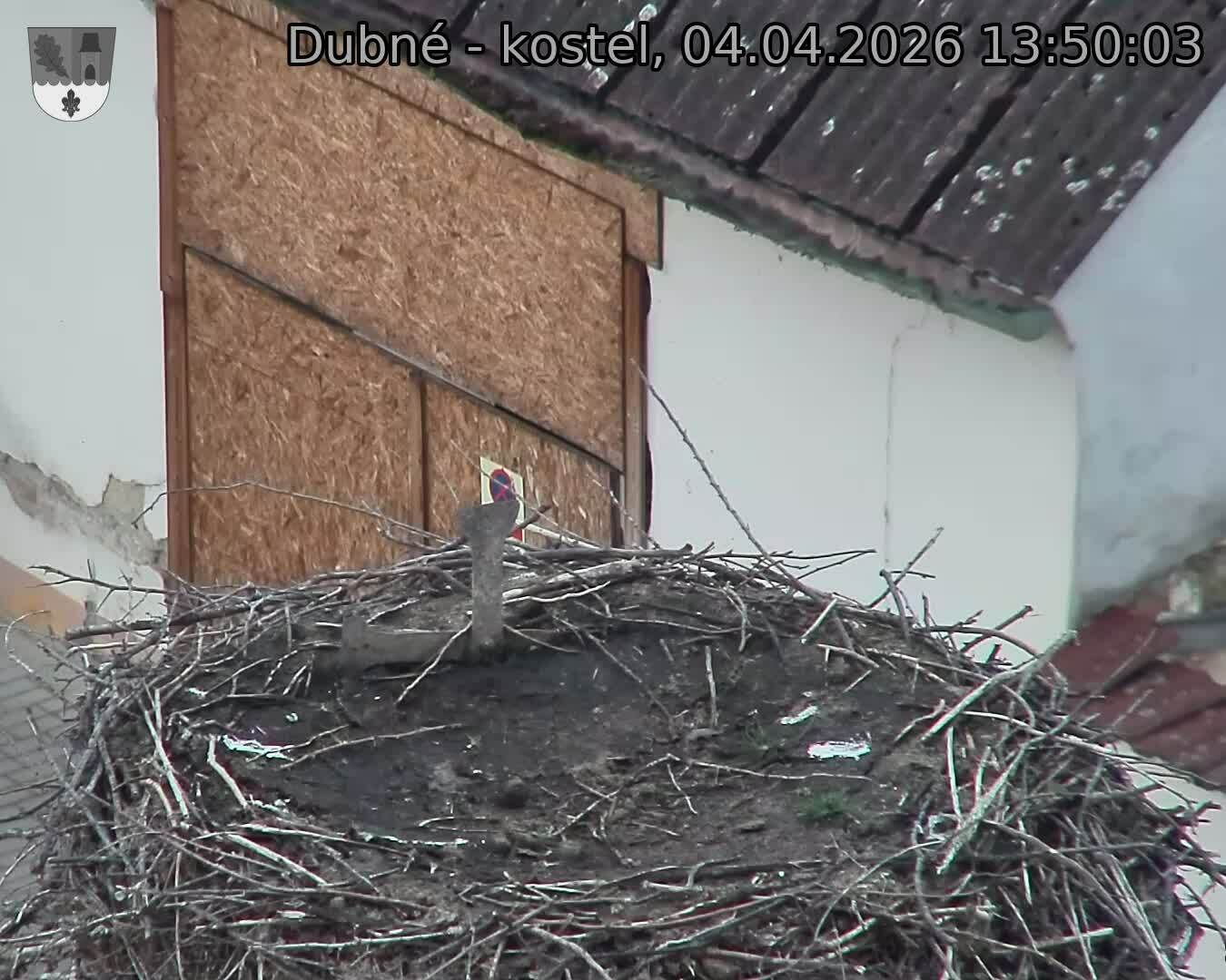 Capi_Dubne_20260404_135003.jpg (1350&nbsp;x&nbsp;1080)