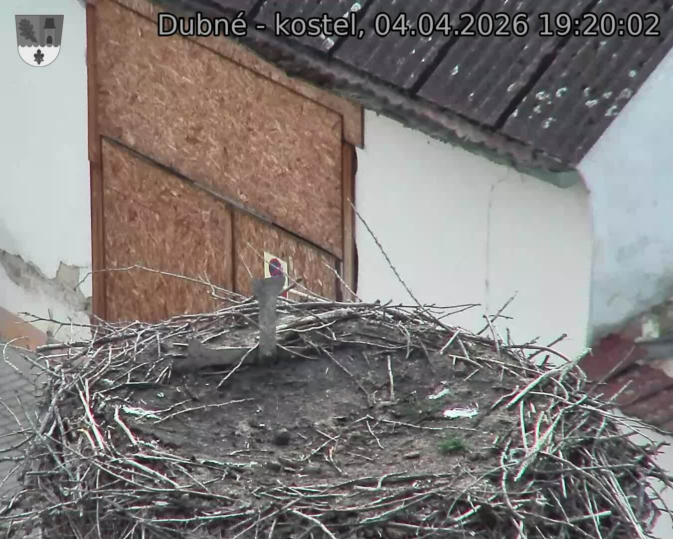 Capi_Dubne_20260404_192002.jpg (1350&nbsp;x&nbsp;1080)