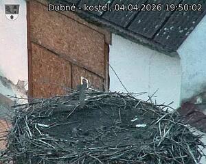 Capi_Dubne_20260404_195002.jpg (1350&nbsp;x&nbsp;1080)