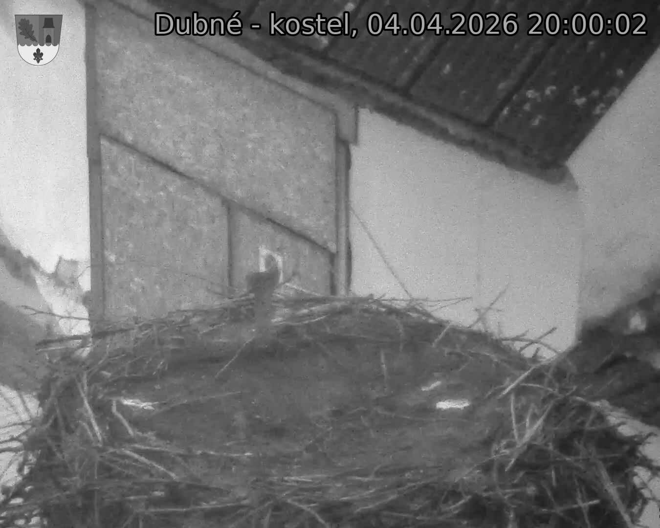 Capi_Dubne_20260404_200002.jpg (1350&nbsp;x&nbsp;1080)