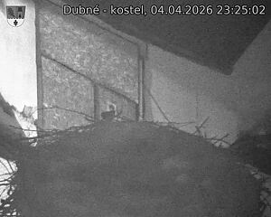 Capi_Dubne_20260404_232502.jpg (1350&nbsp;x&nbsp;1080)