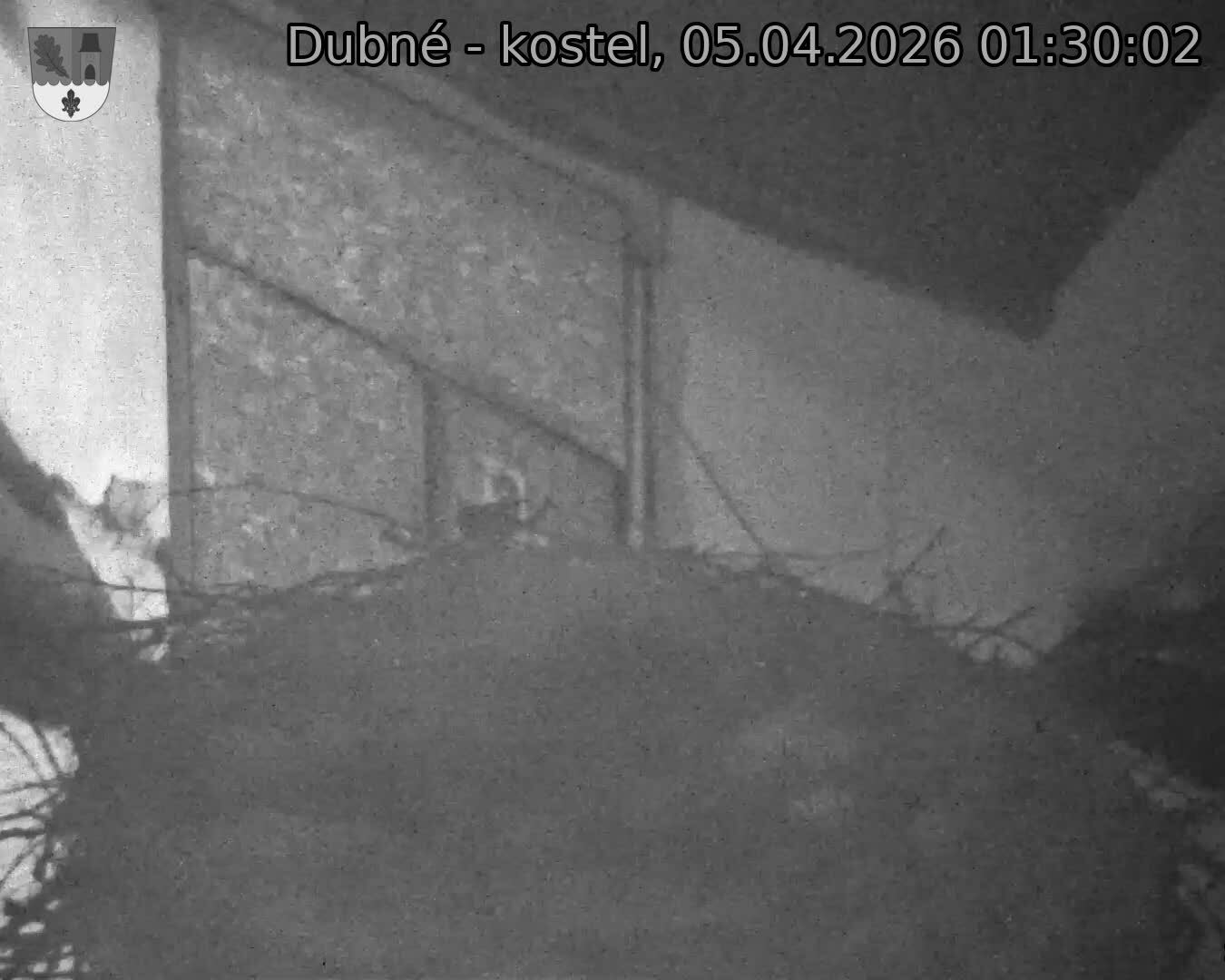 Capi_Dubne_20260405_013002.jpg (1350&nbsp;x&nbsp;1080)