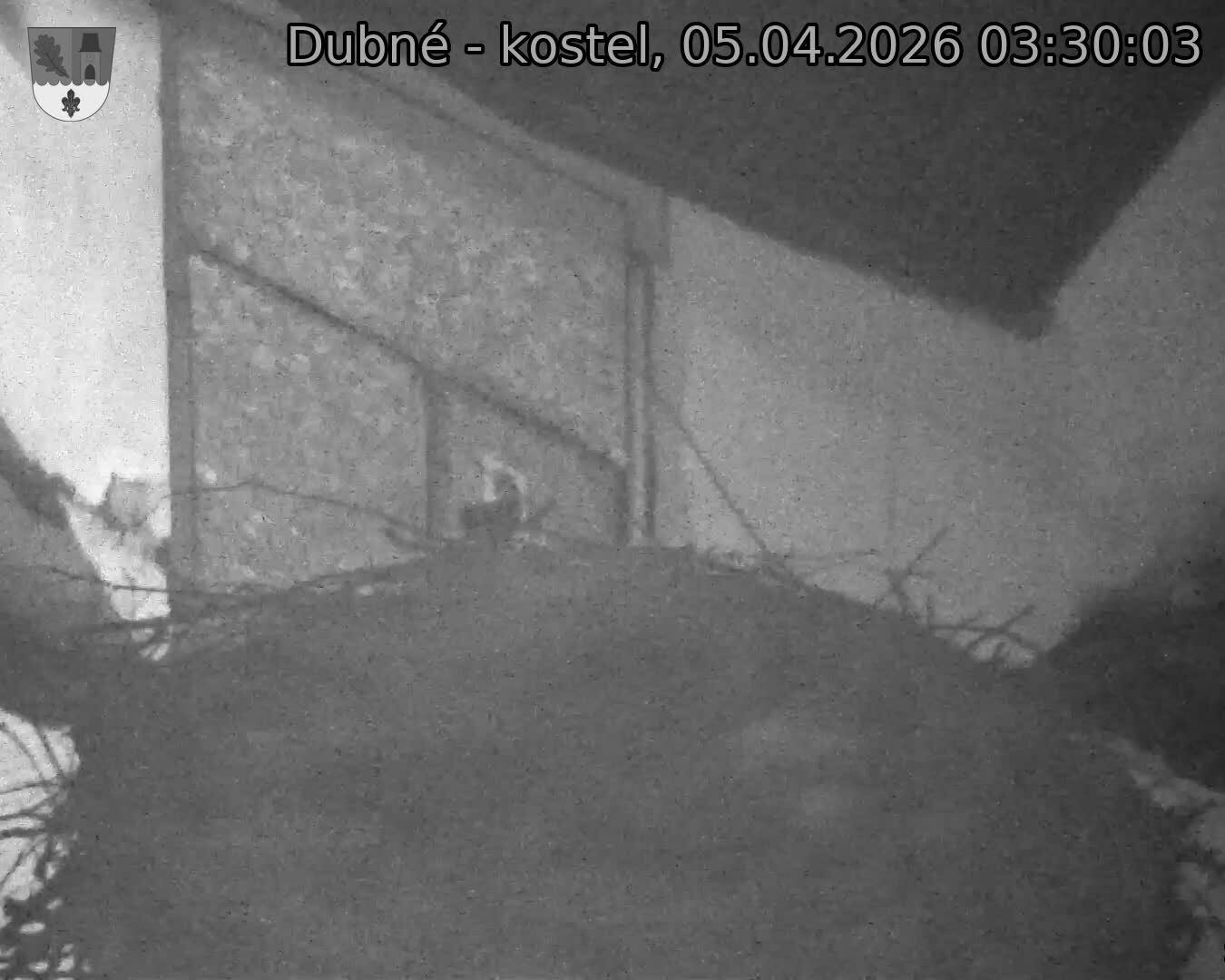 Capi_Dubne_20260405_033003.jpg (1350&nbsp;x&nbsp;1080)