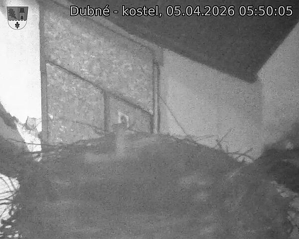 Capi_Dubne_20260405_055006.jpg (1350&nbsp;x&nbsp;1080)