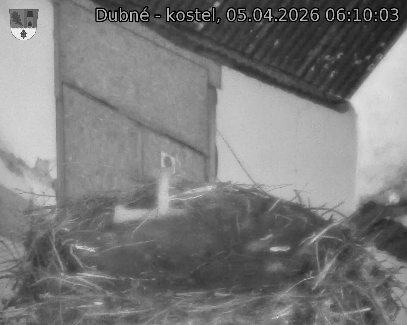 Capi_Dubne_20260405_061003.jpg (1350&nbsp;x&nbsp;1080)