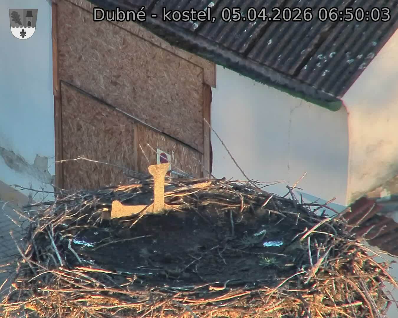 Capi_Dubne_20260405_065003.jpg (1350&nbsp;x&nbsp;1080)