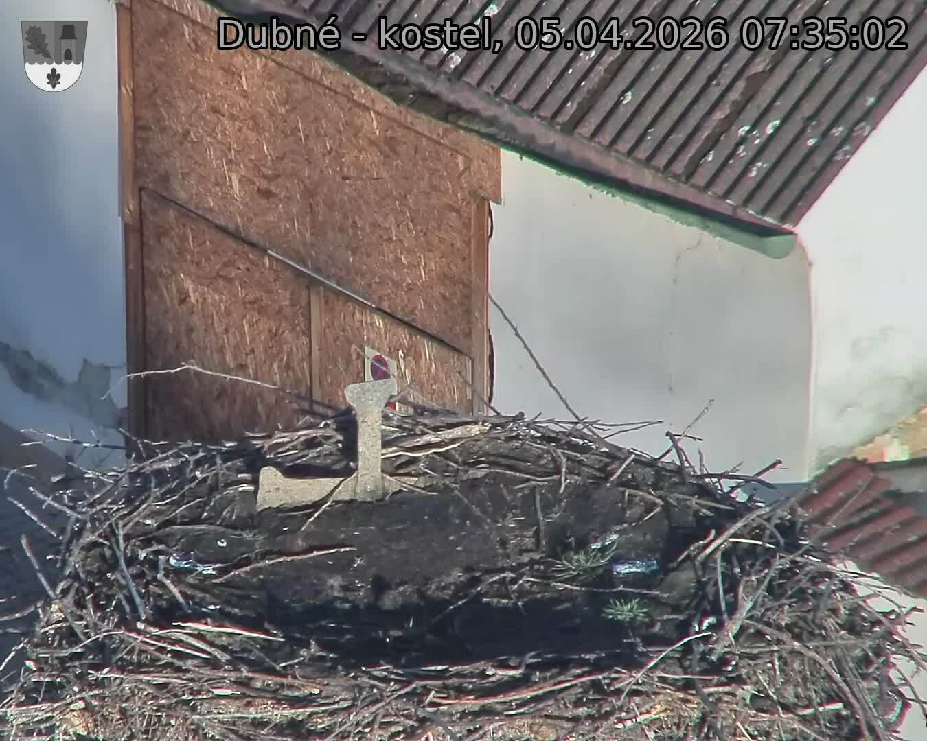 Capi_Dubne_20260405_073502.jpg (1350&nbsp;x&nbsp;1080)