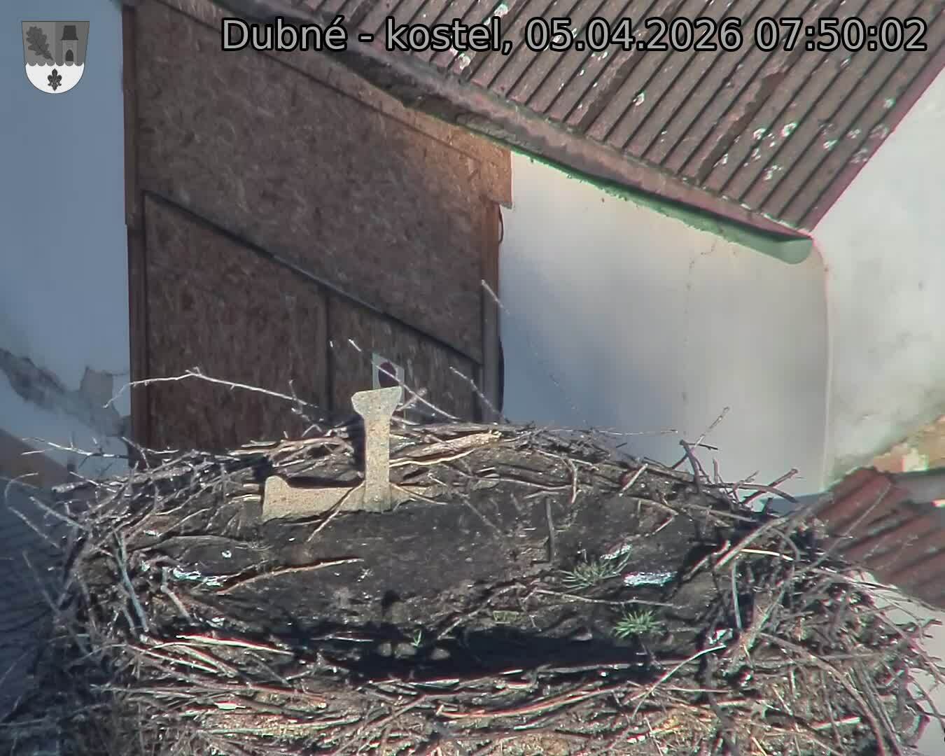 Capi_Dubne_20260405_075002.jpg (1350&nbsp;x&nbsp;1080)