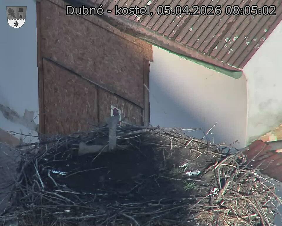 Capi_Dubne_20260405_080502.jpg (1350&nbsp;x&nbsp;1080)