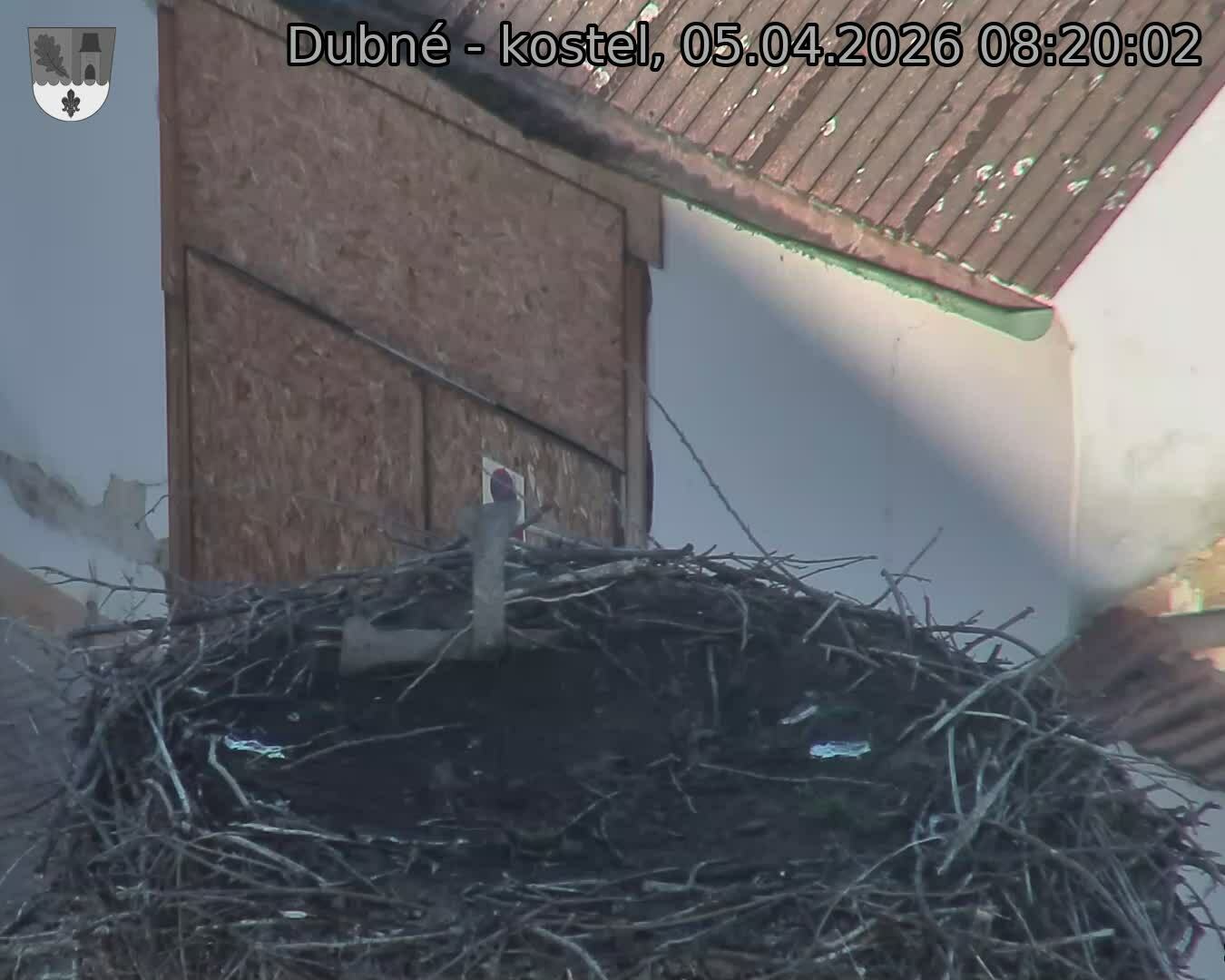 Capi_Dubne_20260405_082003.jpg (1350&nbsp;x&nbsp;1080)