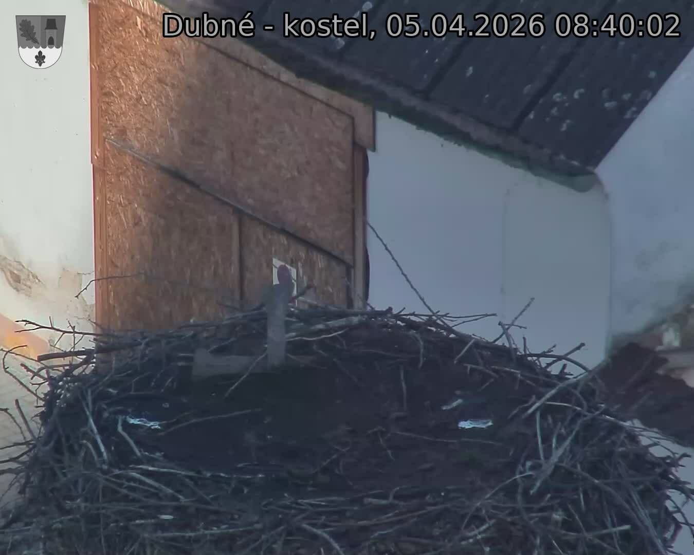 Capi_Dubne_20260405_084002.jpg (1350&nbsp;x&nbsp;1080)