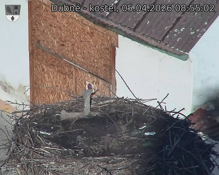 Capi_Dubne_20260405_085502.jpg (1350&nbsp;x&nbsp;1080)