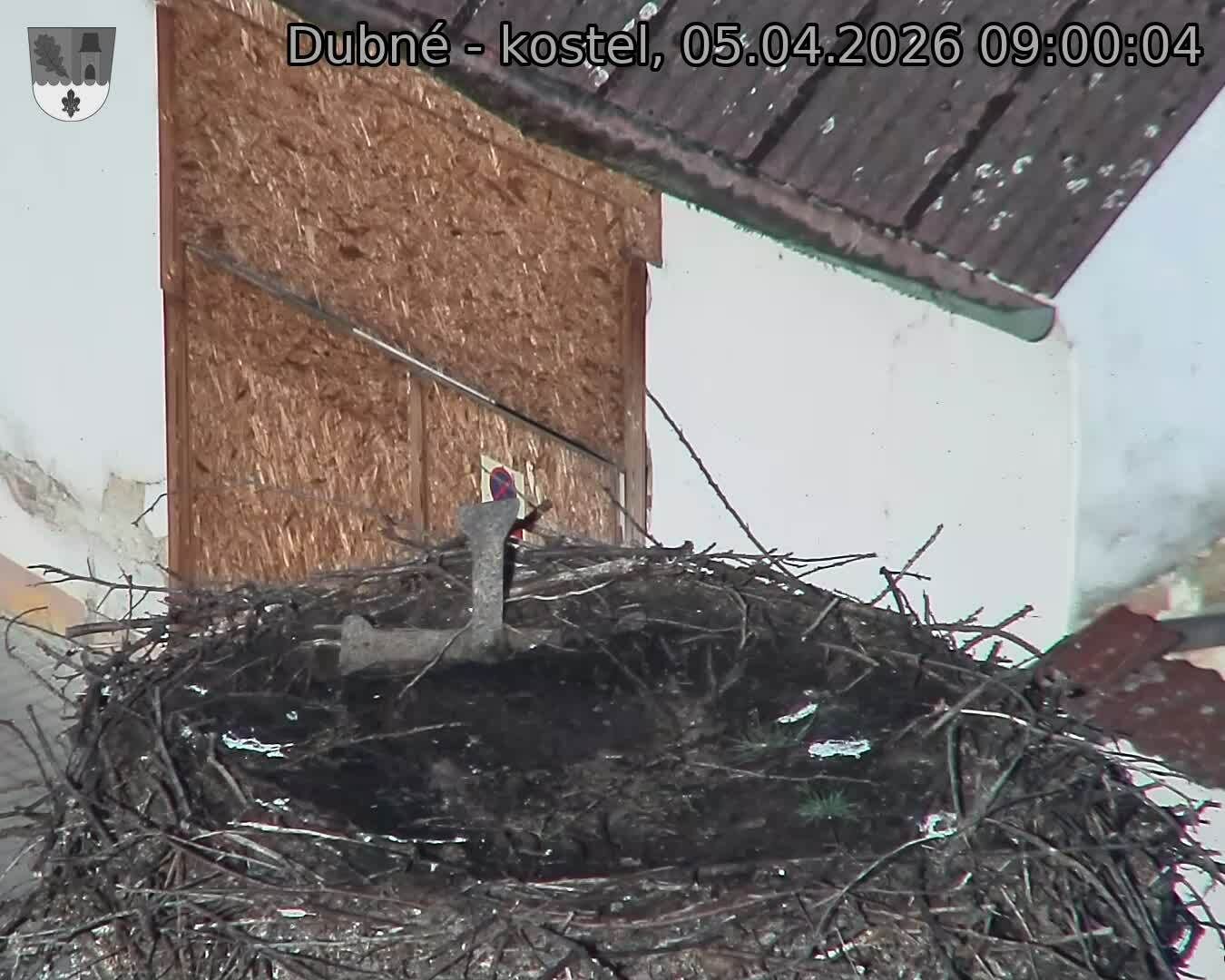 Capi_Dubne_20260405_090004.jpg (1350&nbsp;x&nbsp;1080)