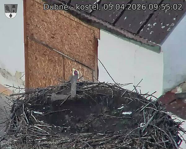 Capi_Dubne_20260405_095502.jpg (1350&nbsp;x&nbsp;1080)