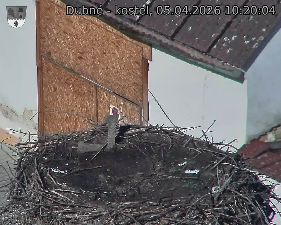 Capi_Dubne_20260405_102004.jpg (1350&nbsp;x&nbsp;1080)