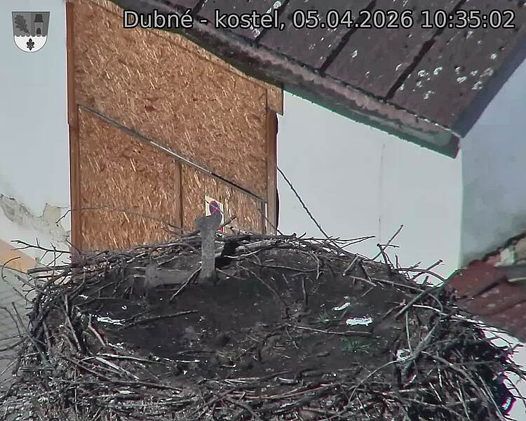 Capi_Dubne_20260405_103502.jpg (1350&nbsp;x&nbsp;1080)