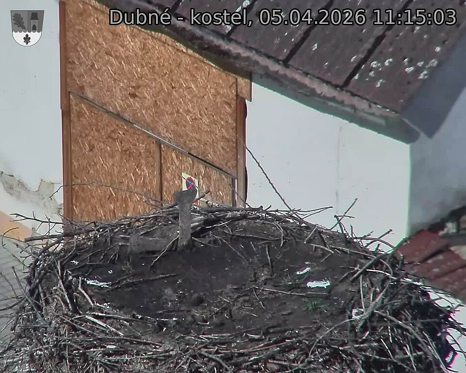 Capi_Dubne_20260405_111503.jpg (1350&nbsp;x&nbsp;1080)