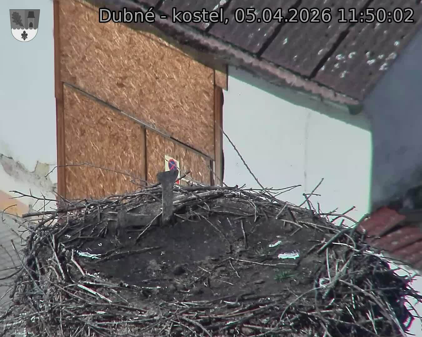 Capi_Dubne_20260405_115002.jpg (1350&nbsp;x&nbsp;1080)