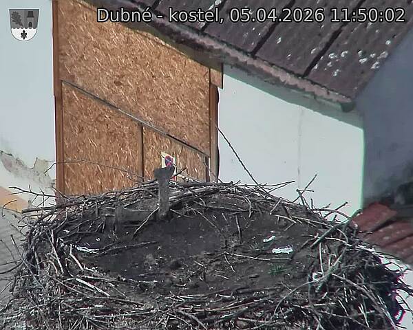 Capi_Dubne_20260405_115002.jpg (1350&nbsp;x&nbsp;1080)