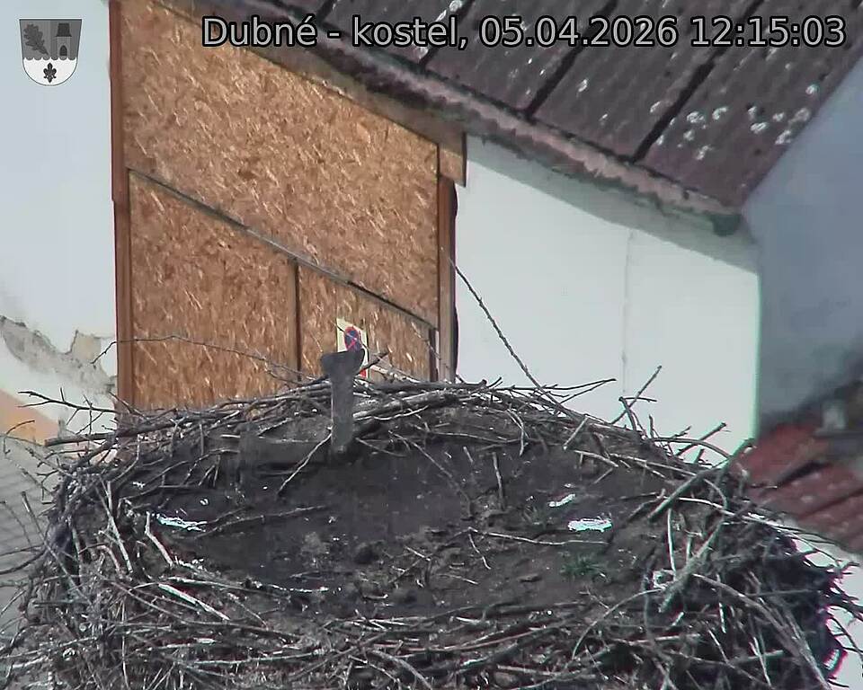 Capi_Dubne_20260405_121503.jpg (1350&nbsp;x&nbsp;1080)