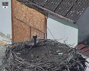 Capi_Dubne_20260405_131502.jpg (1350&nbsp;x&nbsp;1080)