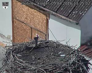 Capi_Dubne_20260405_132502.jpg (1350&nbsp;x&nbsp;1080)