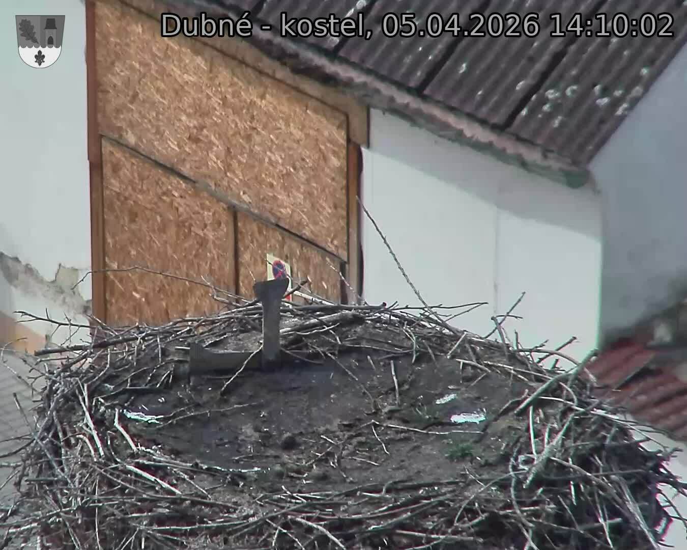 Capi_Dubne_20260405_141002.jpg (1350&nbsp;x&nbsp;1080)