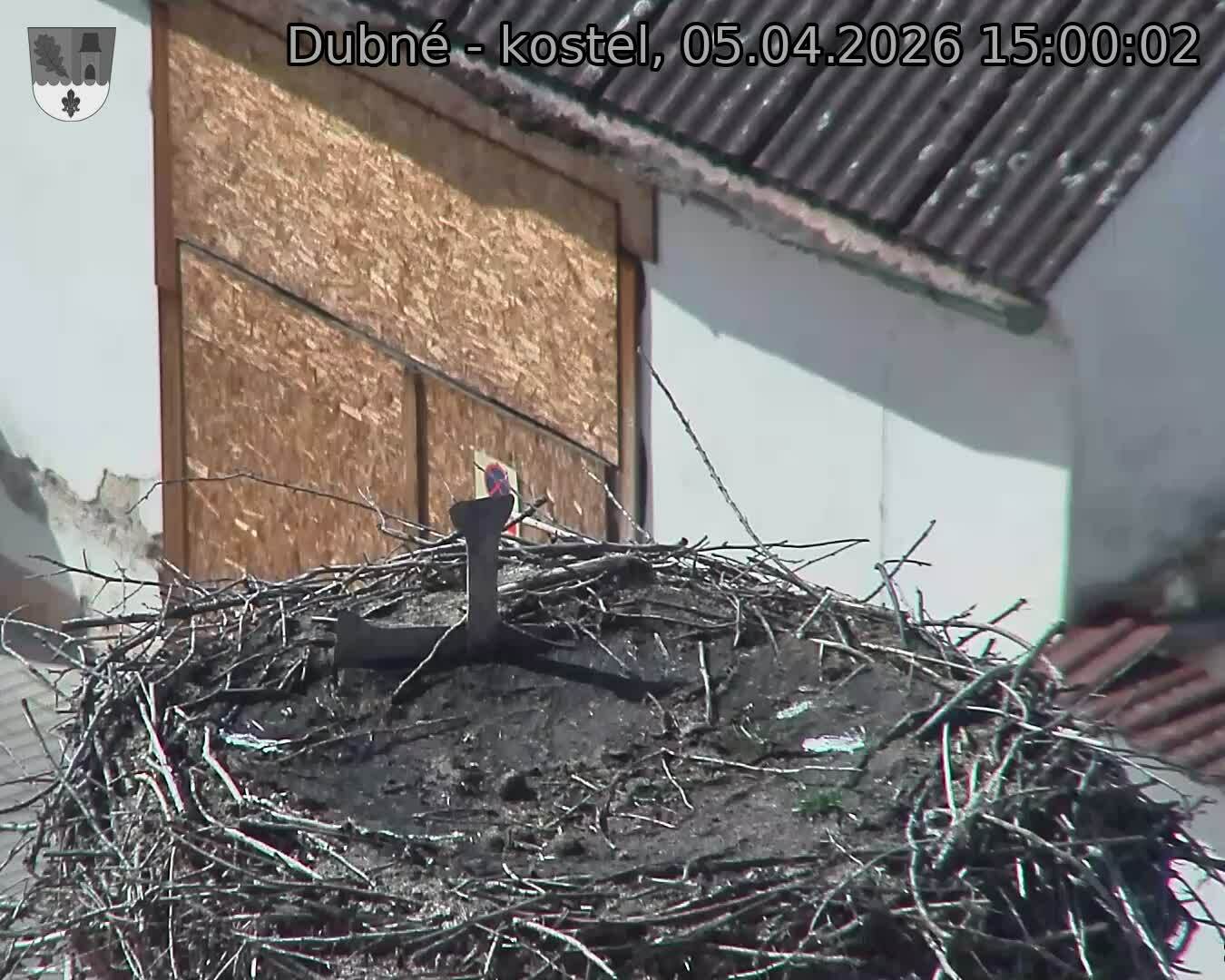 Capi_Dubne_20260405_150002.jpg (1350&nbsp;x&nbsp;1080)