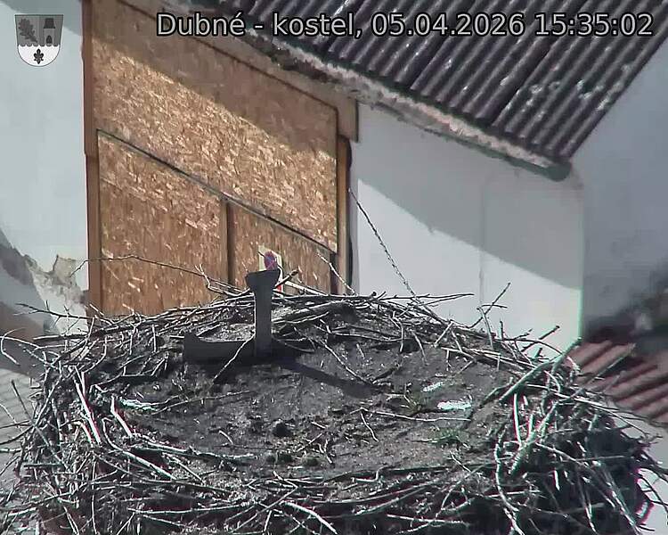 Capi_Dubne_20260405_153502.jpg (1350&nbsp;x&nbsp;1080)