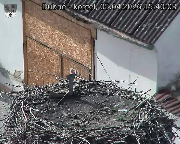 Capi_Dubne_20260405_154003.jpg (1350&nbsp;x&nbsp;1080)