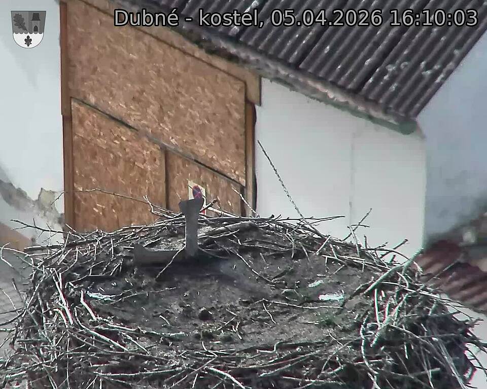 Capi_Dubne_20260405_161003.jpg (1350&nbsp;x&nbsp;1080)