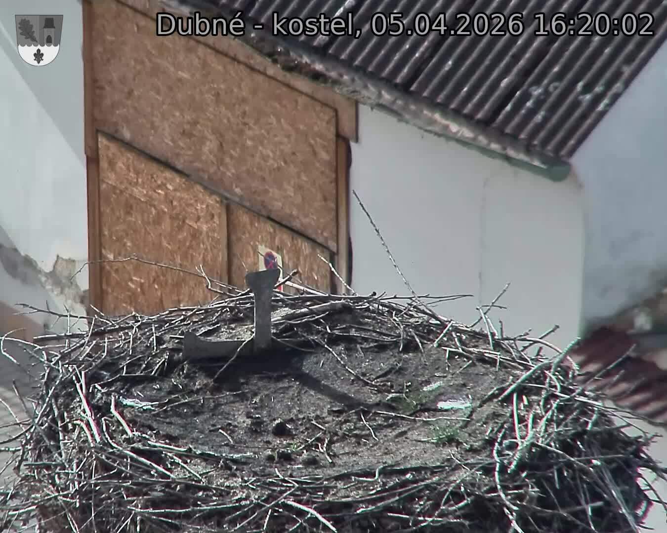 Capi_Dubne_20260405_162002.jpg (1350&nbsp;x&nbsp;1080)