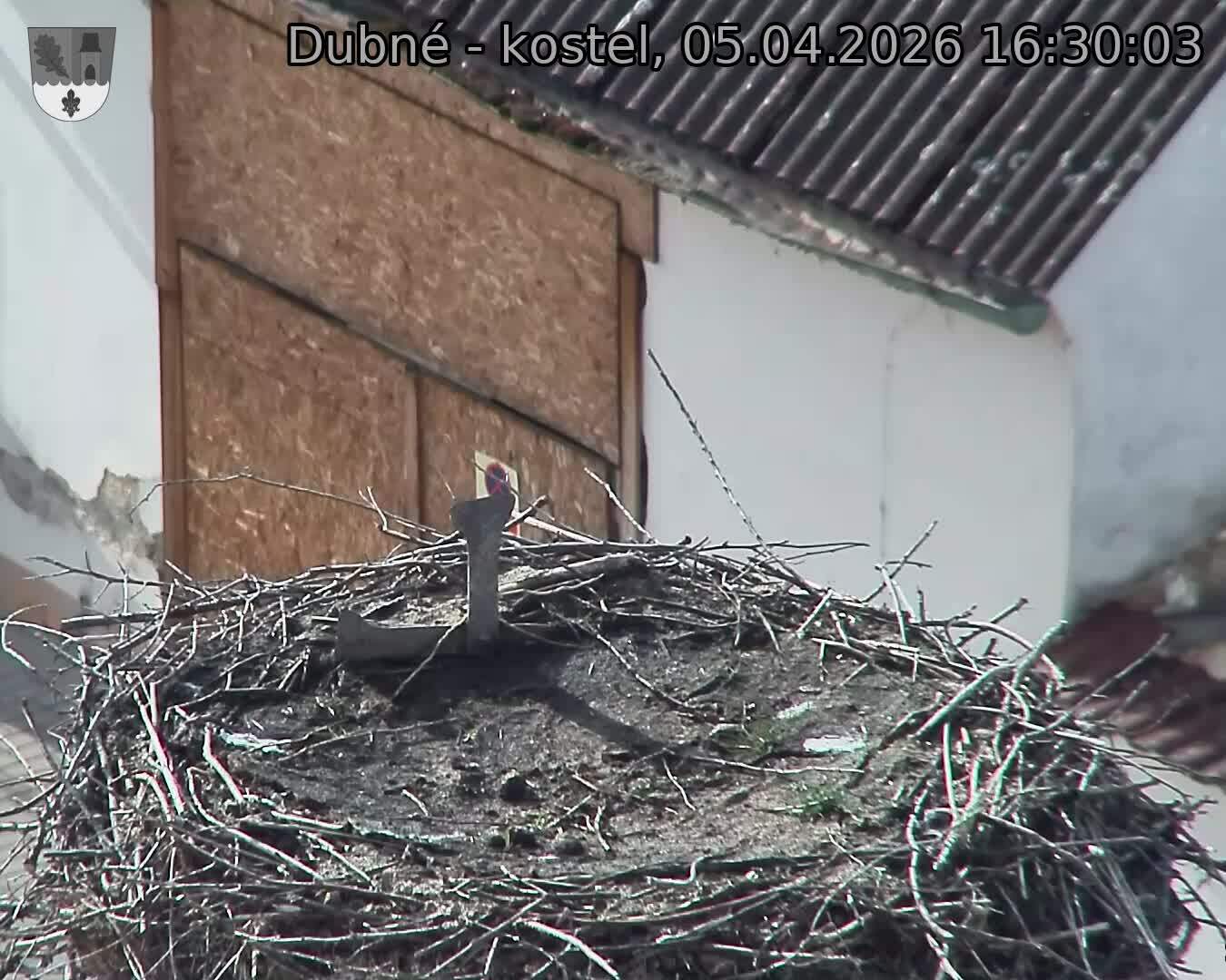 Capi_Dubne_20260405_163003.jpg (1350&nbsp;x&nbsp;1080)