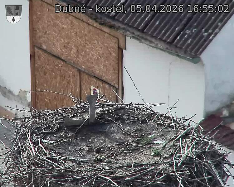 Capi_Dubne_20260405_165503.jpg (1350&nbsp;x&nbsp;1080)