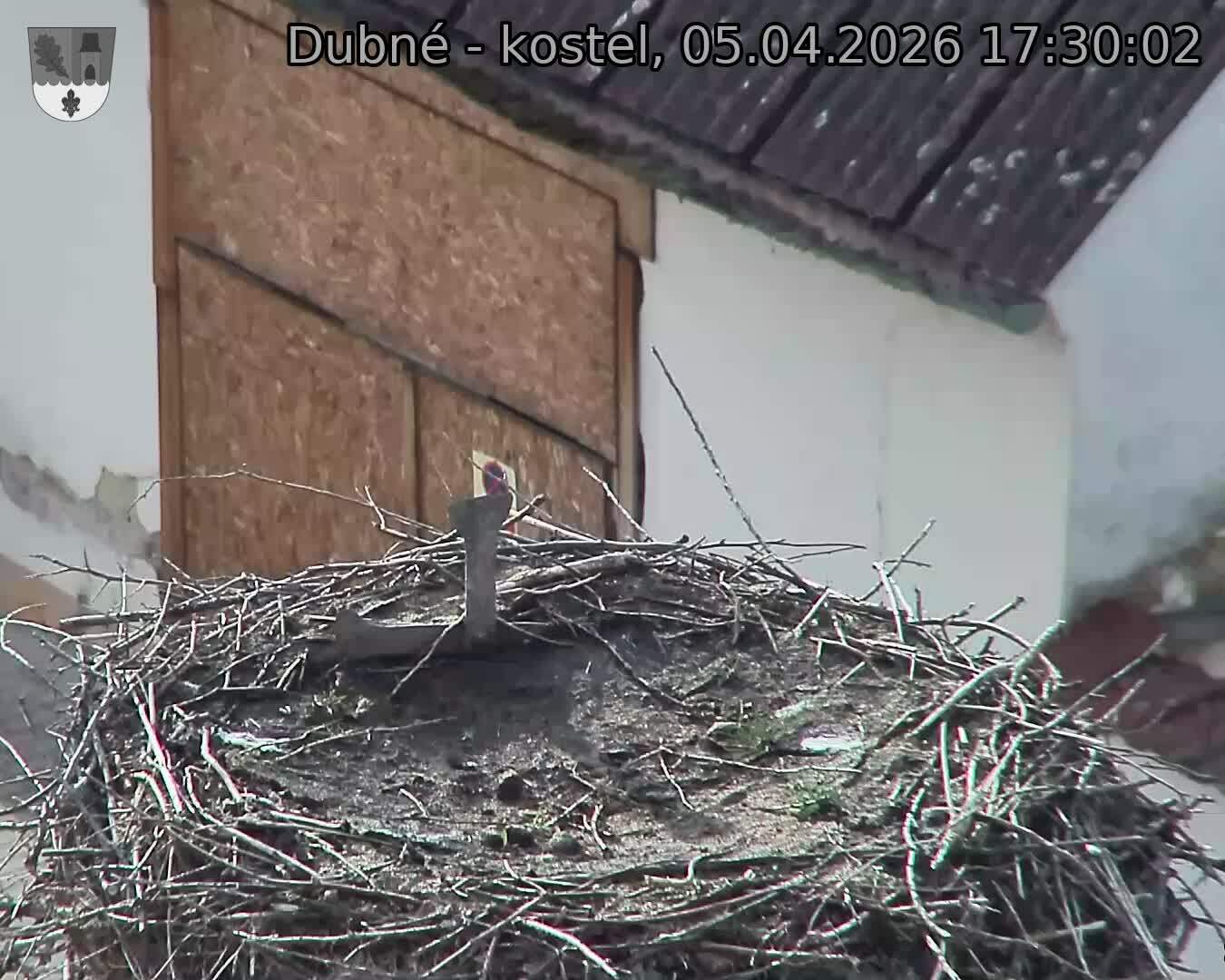 Capi_Dubne_20260405_173003.jpg (1350&nbsp;x&nbsp;1080)