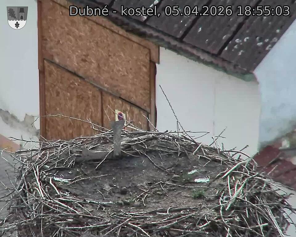 Capi_Dubne_20260405_185503.jpg (1350&nbsp;x&nbsp;1080)